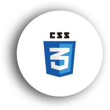 css3